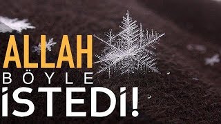 Çünkü, Allah Böyle İstedi! (Video Lyrics)