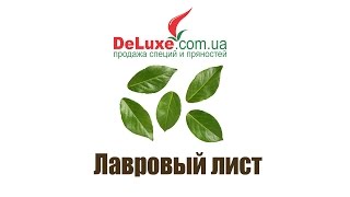 Лавровый лист Отборный