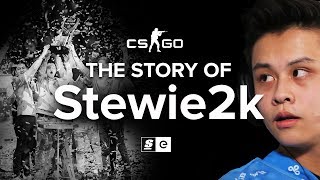 The Story Of Stewie2k: From Pug-Star to Superstar