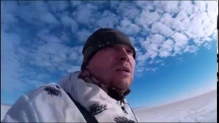 16.02.16- Охота на зайцев.