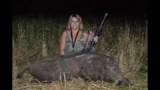 Lady Hunter Takes Big Boar Hog With Thermal