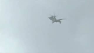 Дракон попал случайно на камеру, необъяснимое