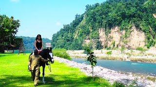 Visit Jim Corbett National Park For A Rejuvenating Weekend Out | Curly Tales