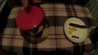 Можжевеловая настойка на самогоне - рецепт от подписчика