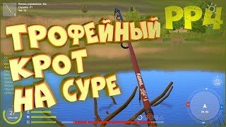 Первая проба техасской оснастки на Суре. Трофейный язь • Русская рыбалка 4 • Ловля спиннингом