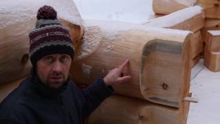 Баня из кедра. Сборка сруба в Подмосковье. 2017 г. часть 3.