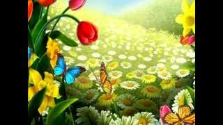 Красивые бабочки. Лето и бабочки.