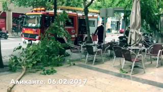 Сколько нужно испанцев что бы убрать одну ветку?