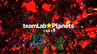 teamLab Planets TOKYO / チームラボ プラネッツ TOKYO DMM.com