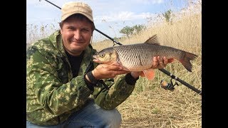 #26 Новое Место Разклевалось Рыбалка на Реке Волге Береговая Ловля Голавля на Донку Фидер