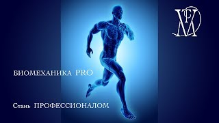 Биомеханика PRO - Презентация нового курса обучения в институте остепатии и Метавитоники