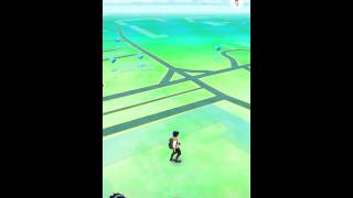 Как я прокачал аккаунт Pokemon go до 6лвл, не выходя из дома
