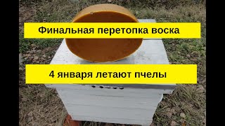 Финальная перетопка  воска 4 января, еще и пчелы летают.