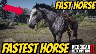 Red Dead Redemption 2 FASTEST HORSE IN THE GAME !!
