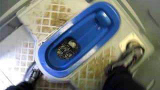 仮設簡易水洗トイレ 1 Squat Toilet