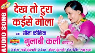देख तो टूरा कैसे मोला | गुलाबी कलि भाग - 2 | Sima Kaushik - Audio Song | Chhattisgarhi Lok Geet