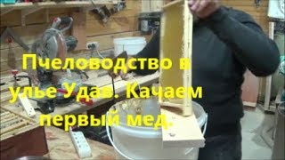 Пчеловодство в улье Удав. Качаем первый мед. Beekeeping. Download first honey