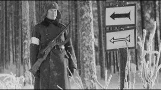 Weapons of Finland (1918 to Present)