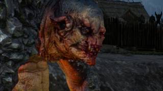 The Witcher 3: Wild Hunt - Кулаки ярости: Чемпион чемпионов