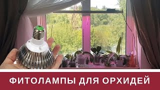 Фитолампы Для Орхидей Минифермер Е27 и Линейные: Мой Опыт