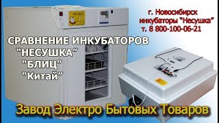 Какой купить инкубатор для яиц? Обзор автоматических инкубаторов Несушка, Блиц, китайского