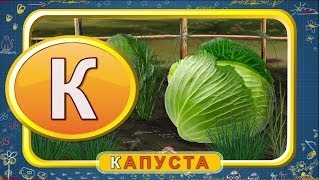 Мультипедия  Русский алфавит  Буква К (Уроки тетушки Совы)