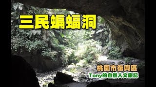 三民蝙蝠洞[桃園復興]
