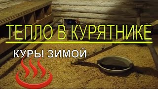 Почему в КУРЯТНИКЕ ЗИМОЙ ТЕПЛО ? В хозяйстве на своём участке