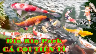 Công Viên Cá Koi Rin Rin Park - Vườn Đá Nhật Bản ở TP HCM | Hùng Bảo QNa.