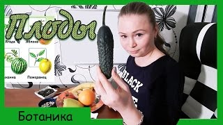 Плоды. Строение и функции плодов. Виды плодов. Урок биологии №59.