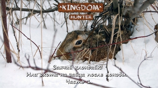 Заячий клондайк! Или охота на зайца после поновы.  Часть 1.
