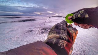 ПЕРВЫЙ ЛЁД 2019-2020. Рыбалка на большой воде. Ловля окуня на балансир.