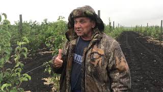 Консультация от Маценко