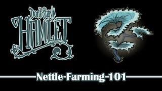 GROWING NETTLES 101 | Don't Starve Hamlet