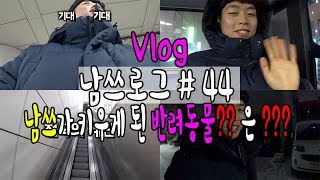 VLOG | 일상 브이로그 남쓰로그 #44 남쓰가 키우게된 반려동물?? 은??