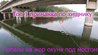 СУПЕР РЫБАЛКА на ОКУНЯ С ЛОДКИ НА ВЕРТУШКИ! ТОП 1 приманка по ХИЩНИКУ
