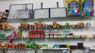Aquarismo goiano Tour pela grande loja AquaPeixe em Anápolis