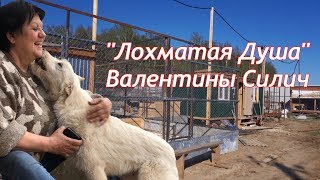 Самый большой частный приют России. The largest private shelter in Russia.