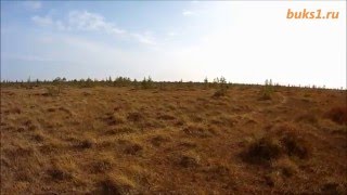 Мотобуксировщик Ураган болото 3 Базовая модель