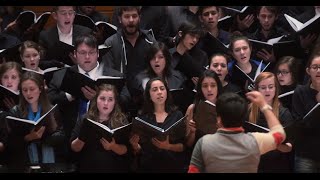 Singing In Translation