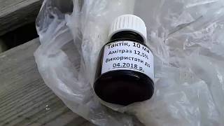 Обработка пчел тактиком водним раствором 2018 бакфаст видео 1 из 3