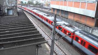 Trens do Metrô e CPTM - São Paulo -3