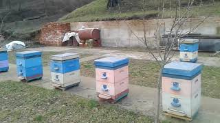 На пасеке у Андрея Иванова часть 1.
