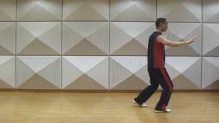 入門太極拳動画　【鏡式指導】でそのまま真似できて簡単、右側面からも
