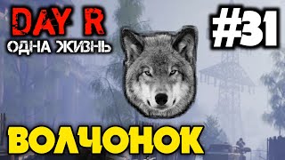 ВОЛЧОНОК | ОДНА ЖИЗНЬ В DAY R 1.654 | Evgen GoUp!
