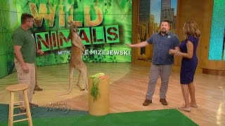 Wild Animals with Dave Mizejewski