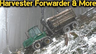 Timberjack 1410D | Supersound