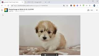 슬랙에서 다양한 메시지 보내기 [협업용 메신저 슬랙(Slack) 제대로 다루기 3강]