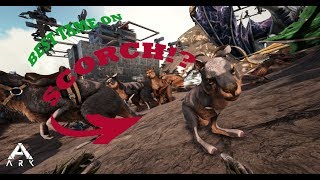 BEST SCORCH TAME ?! 3 Man PvP Servers - Ark: Survival Evolved MTS