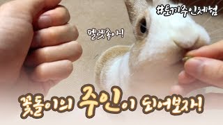 토끼 키우기 (*ꆤ.̫ꆤ*) 꽃돌이 주인 시뮬레이터! 토끼의 주인이 되어보자! (feat.어쩌다토끼아빠)